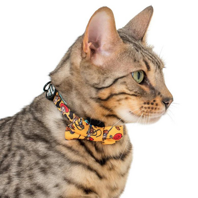 Toy Story: Woody's Roundup | Cat Collar & Bow Tie