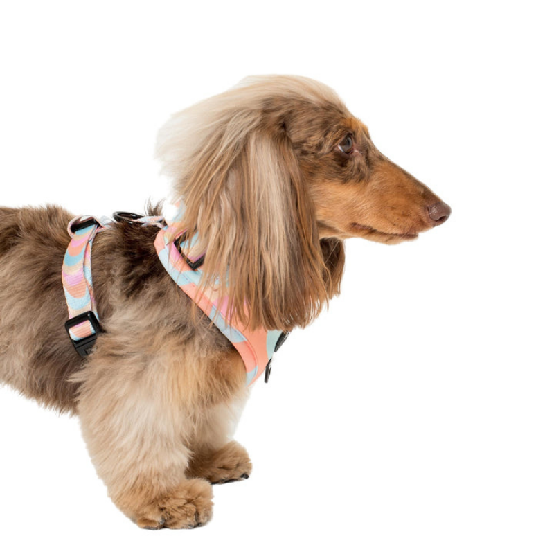 Wavy | Adjustable Dog Harness