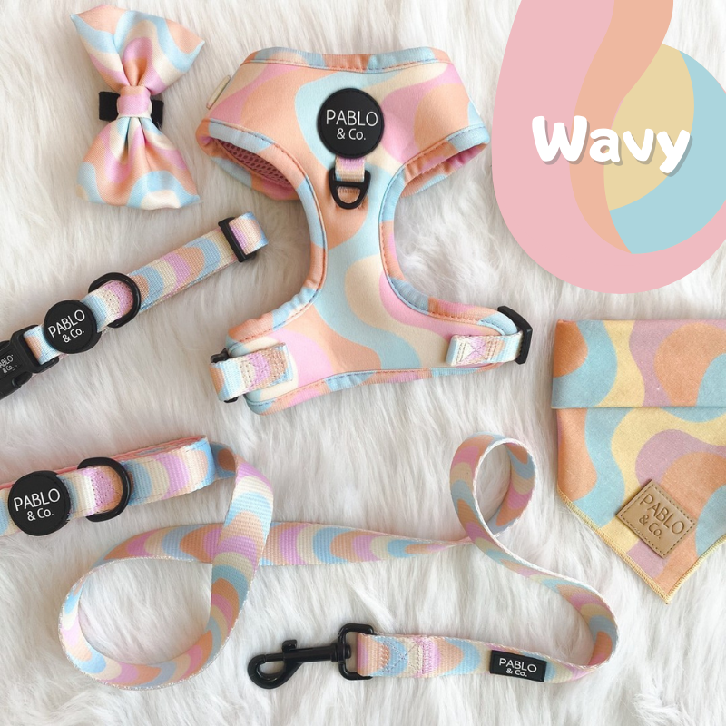 Wavy | Adjustable Dog Harness