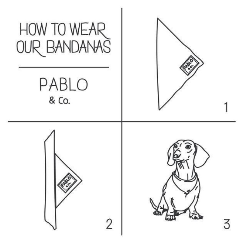 Pablo & Co. Tie-Up Bandana | Bubble O' Bill | Peticular