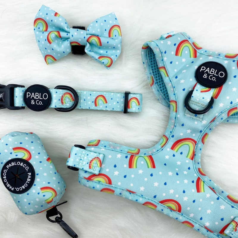 Blue Rainbows Dog Collar