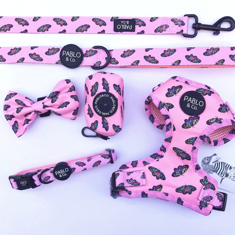 Butterflies Dog Collar