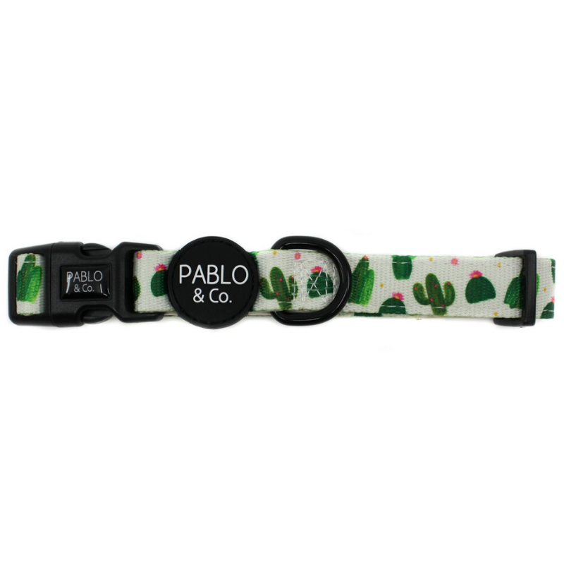 Cactus Dog Collar