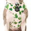 Cactus | Adjustable Dog Harness