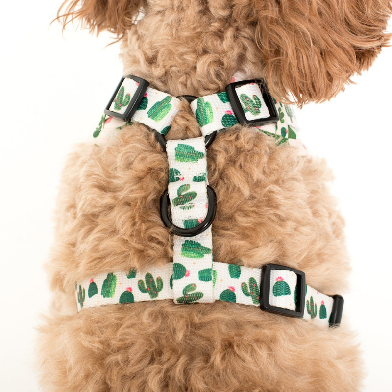 Pablo Co. Adjustable Dog Harness Cactus Peticular