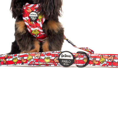 Dr. Seuss' The Grinch | Dog Leash