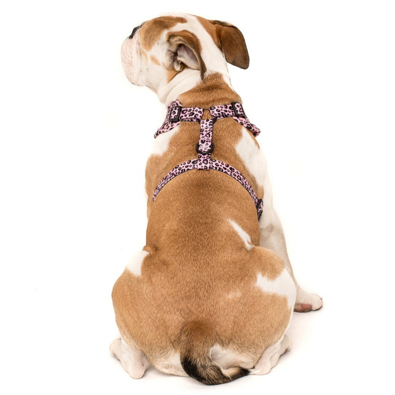 Pink Leopard | Adjustable Dog Harness
