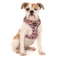 Pink Leopard | Adjustable Dog Harness