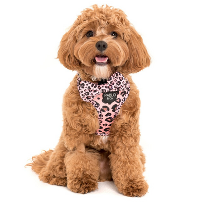 Pink Leopard | Adjustable Dog Harness