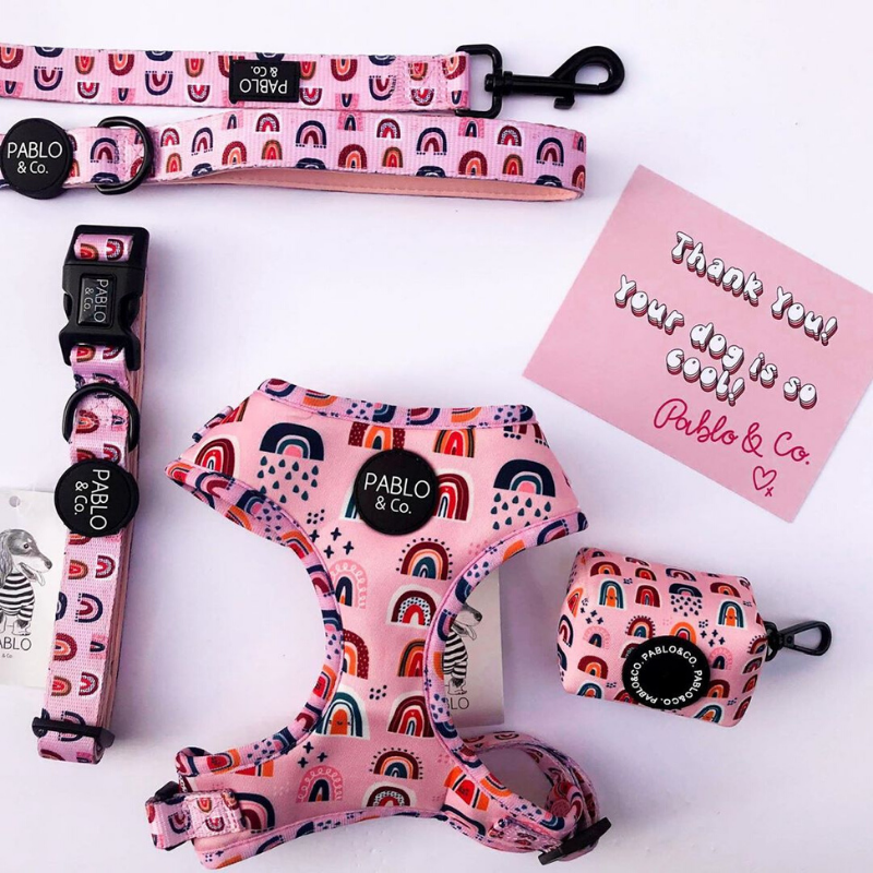 Pink Rainbows | Adjustable Dog Harness