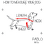 Pablo & Co. Adjustable Dog Harness | Flower Garden | Peticular