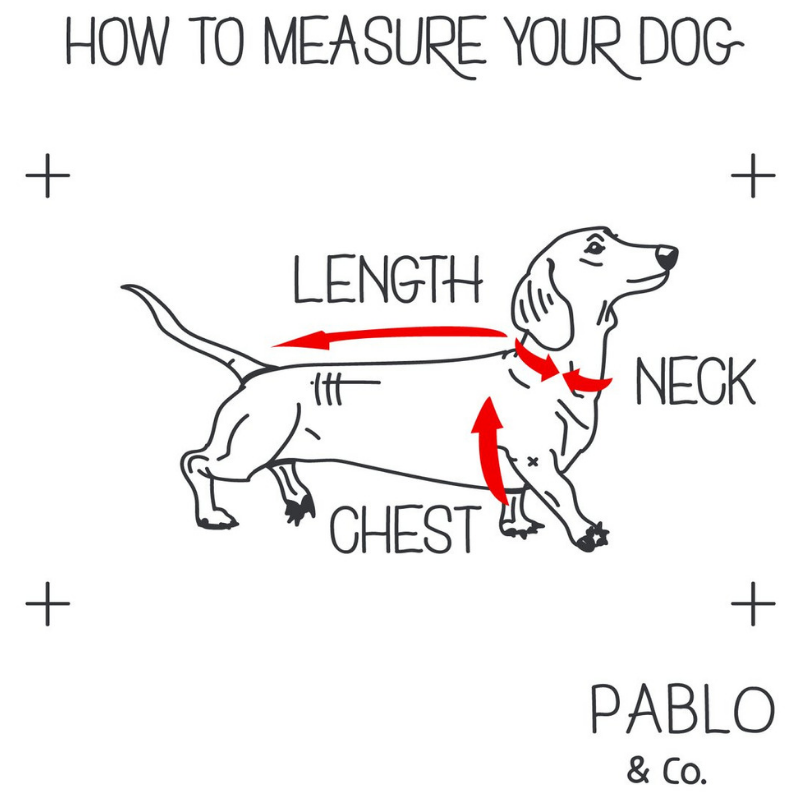 Pablo & Co. Adjustable Dog Harness | The Khaki Leopard | Peticular