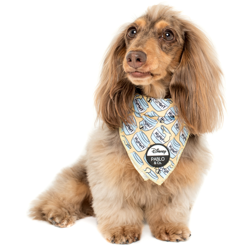 Winnie The Pooh Honey Pot | Dog Bandana