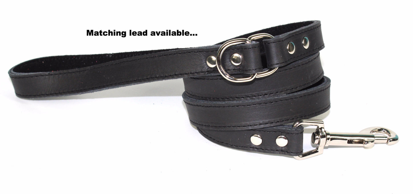 Dogue Plain Jane Leather Dog Collar | Black | Peticular