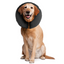 ZenPet ProCollar | Inflatable Protective Collar | Peticular