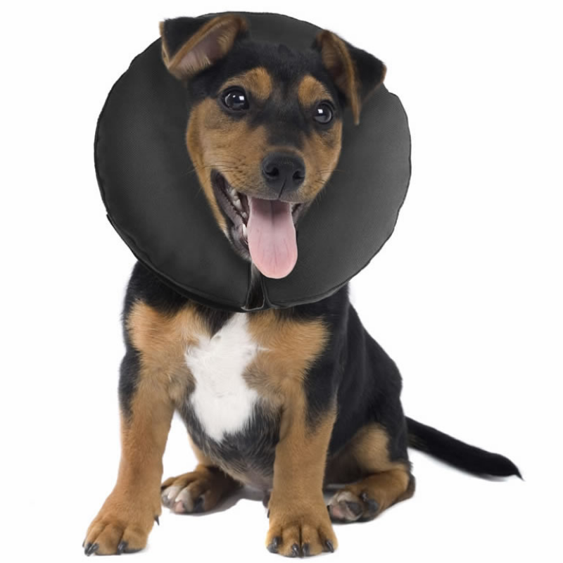 ZenPet ProCollar | Inflatable Protective Collar | Peticular