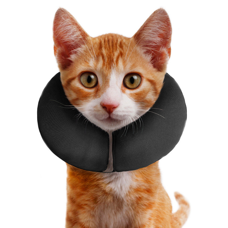 ZenPet ProCollar | Inflatable Protective Collar | Peticular