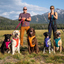 Ruffwear Front Range Dog Harness | 2020 Design | Peticular