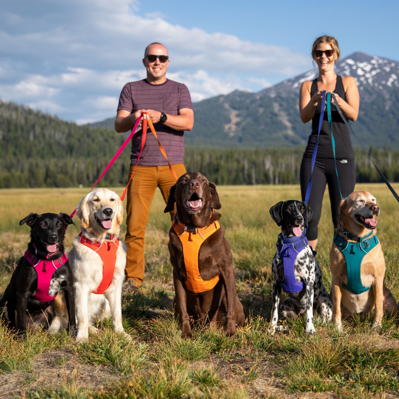 Ruffwear Front Range Dog Harness Campfire Orange Peticular