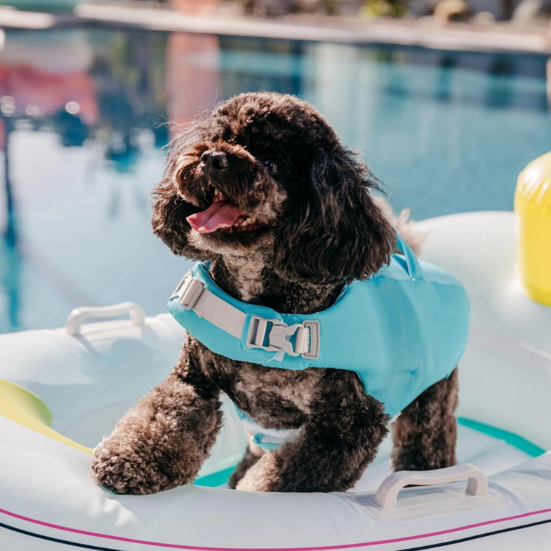 Dog Life Jacket | Caribbean Green