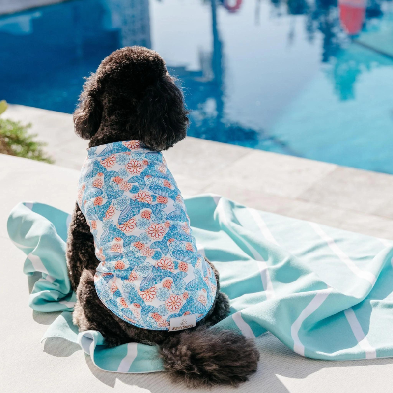 Sandy Snoots | Mandala Whale Dog Rashie | 50+ UV Sun Protection – Peticular