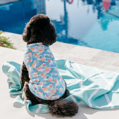 Mandala Whale Dog Rashie - FINAL SALE. NO RETURNS.