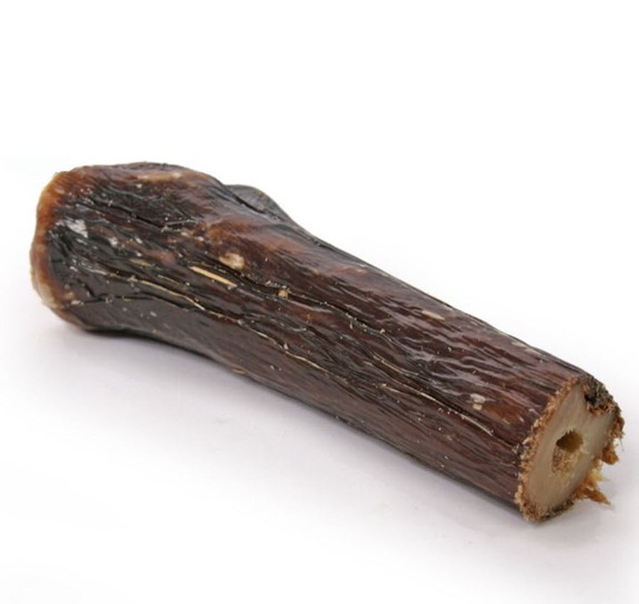 Deer Shank Bone - Peticular