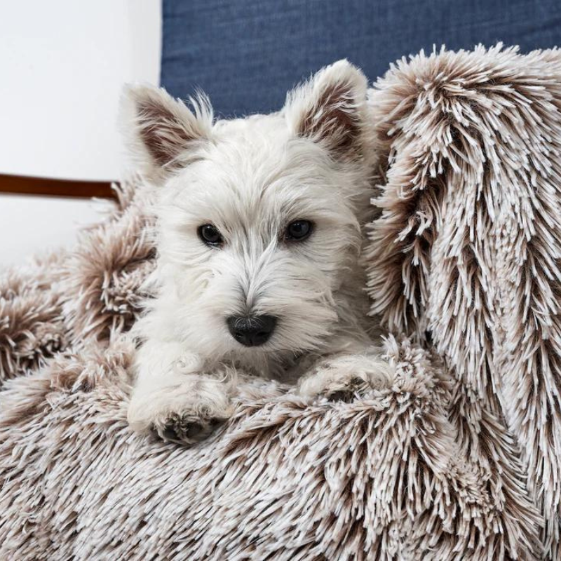Calming Cuddler Blanket | Mink