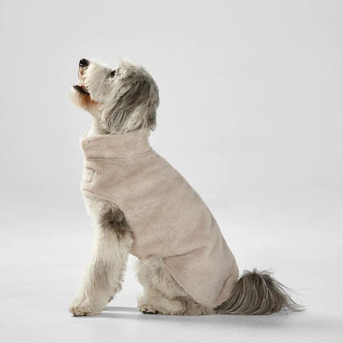 Faux Fur Dog Coat | Latte