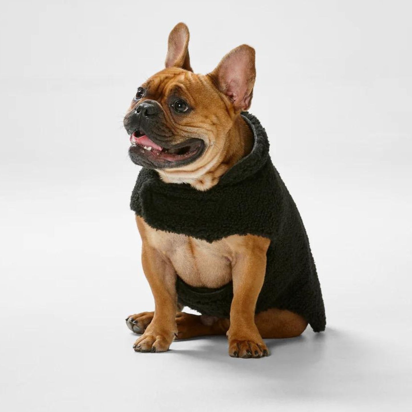 Reversible Teddy Dog Sweater | Black/Charcoal