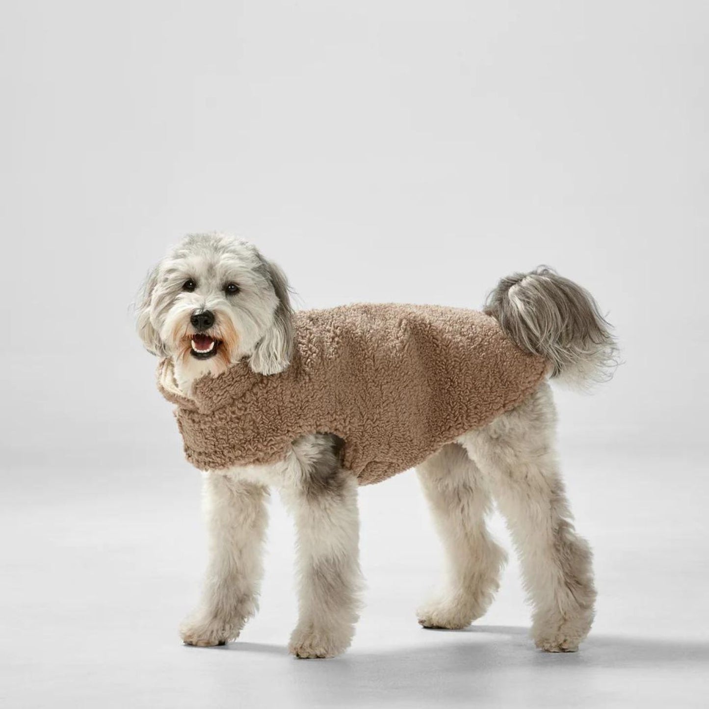 Reversible Teddy Dog Sweater | Fawn/Natural