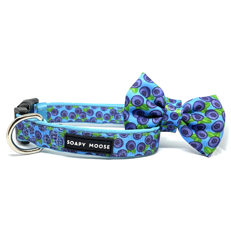 Blueberries Dog Collar & Bow Tie