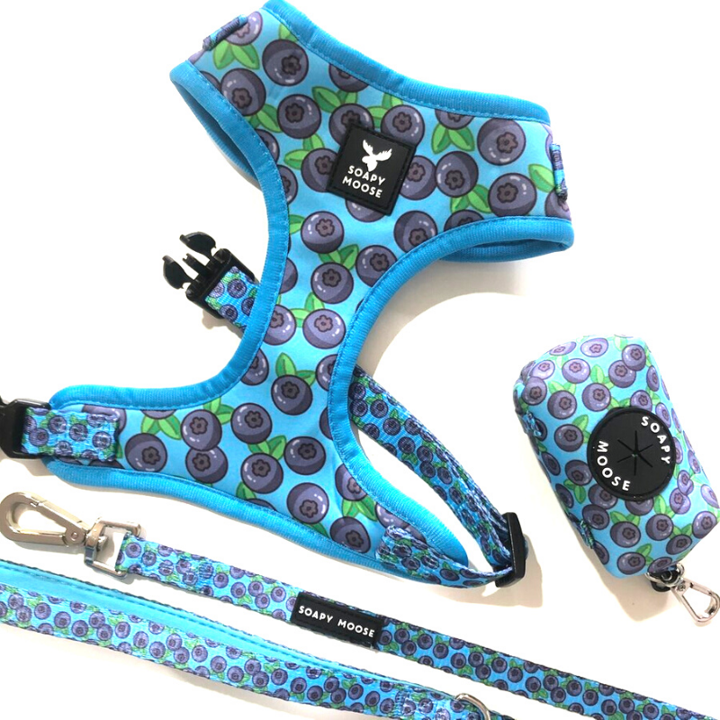 Blueberries | Adjustable Dog Harness