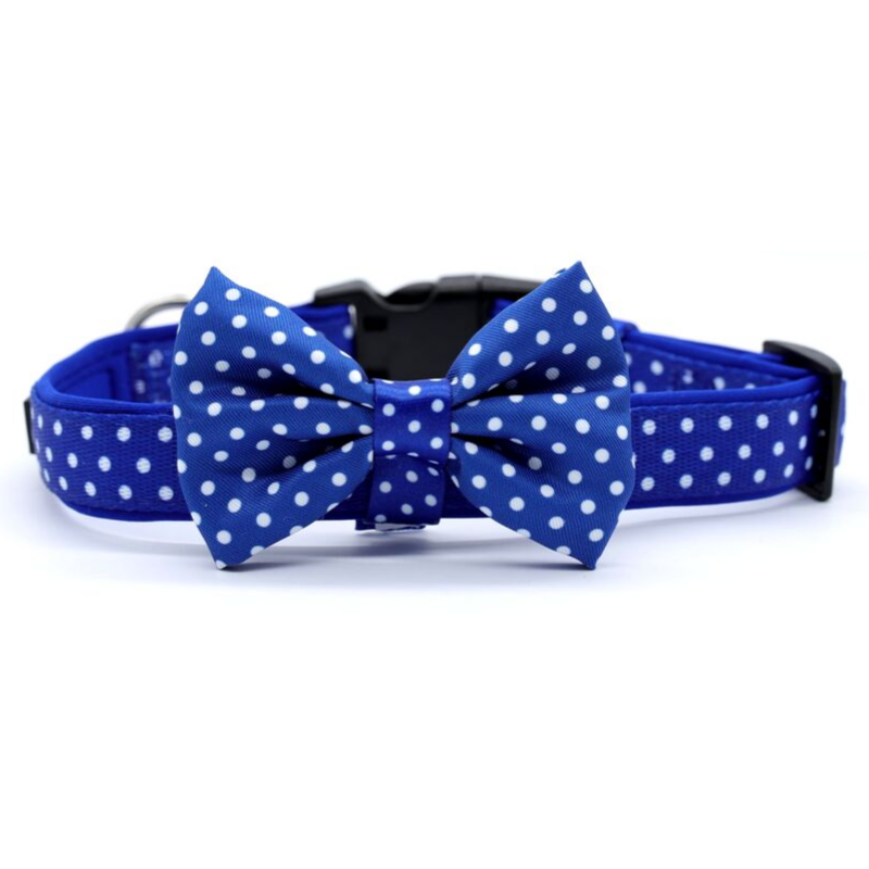 Soapy Moose Blue & White Polka Dots Collar | Peticular