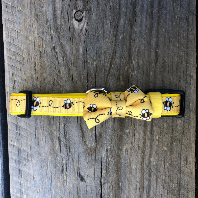 Soapy Moose Busy Bee Collar | Peticular