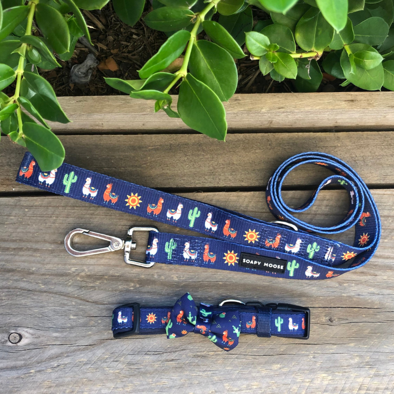 Soapy Moose Desert Llamas Dog Lead | Peticular