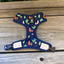 Soapy Moose Reversible Dog Harness | Desert Llamas | Peticular