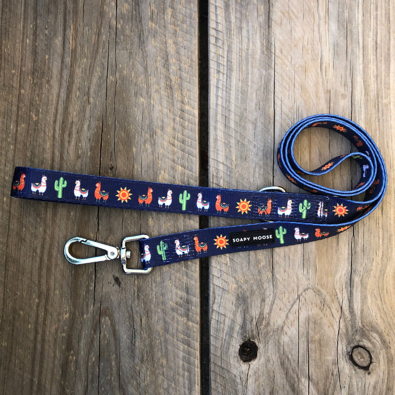 Soapy Moose Desert Llamas Dog Lead | Peticular