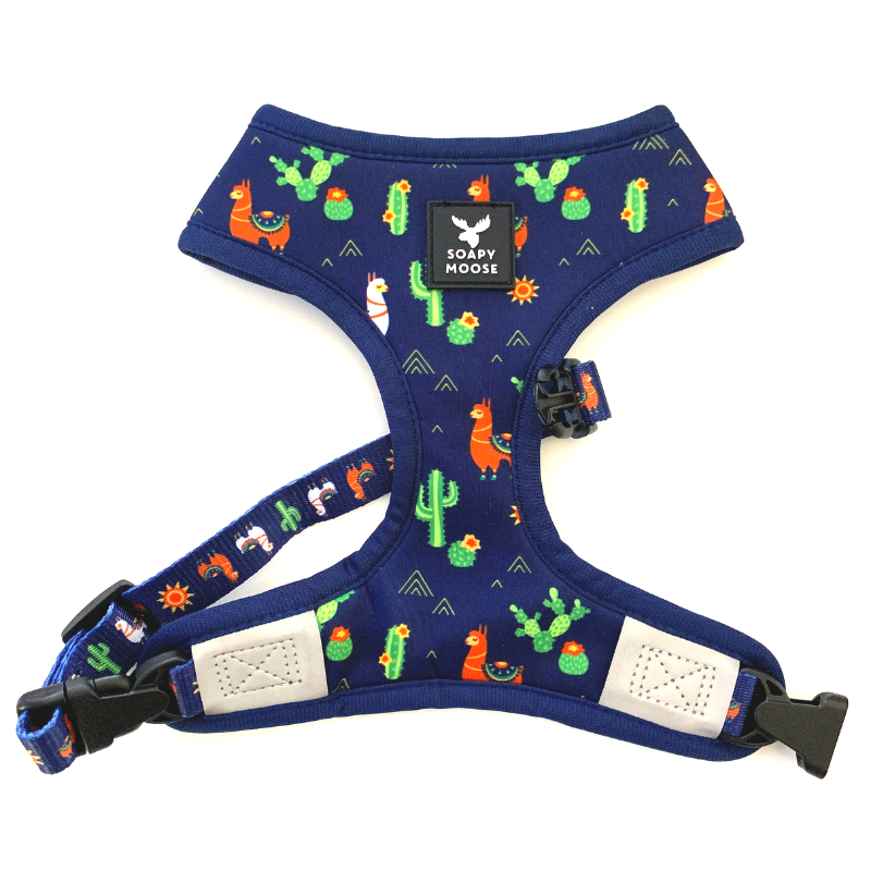 Soapy Moose Reversible Dog Harness | Desert Llamas | Peticular