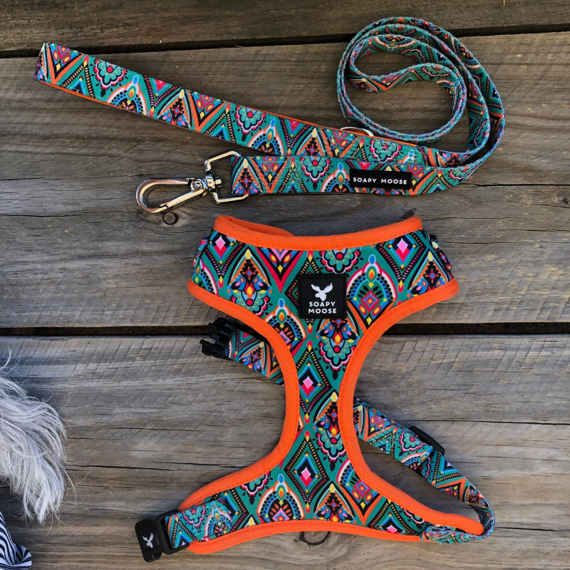 Soapy Moose Dog Harness | Moroccan Sunrise | Peticular