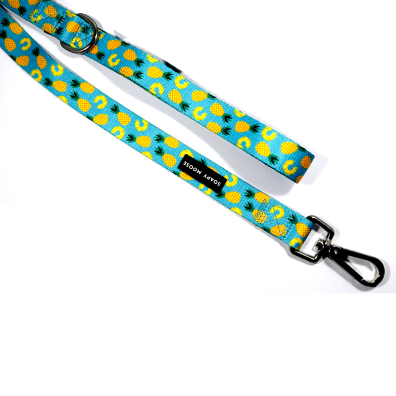 Soapy Moose Pineapple Slice Dog Lead | Peticular