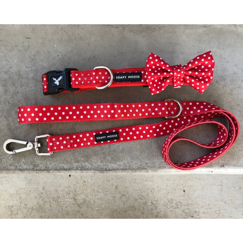 Soapy Moose Red & White Polka Dots Dog Lead | Peticular