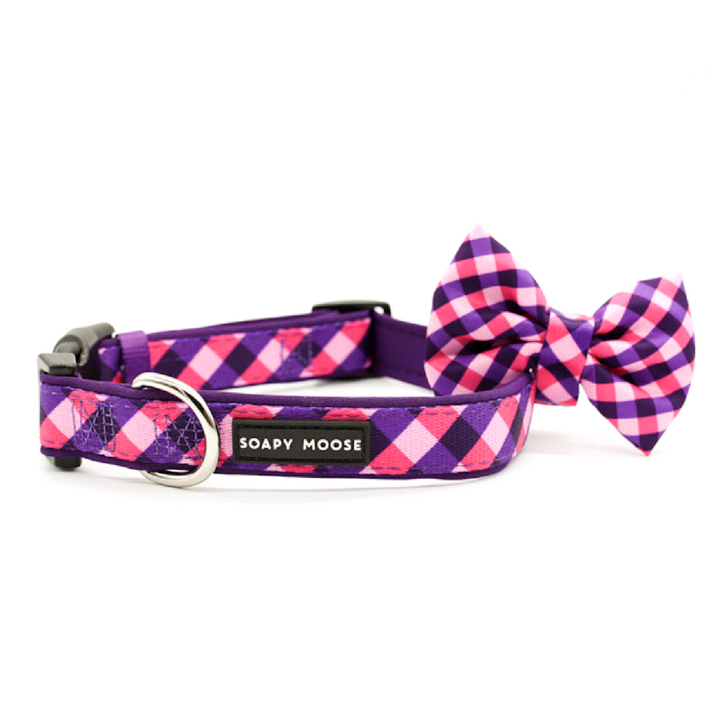 Soapy Moose The Fashionista Collar | Peticular