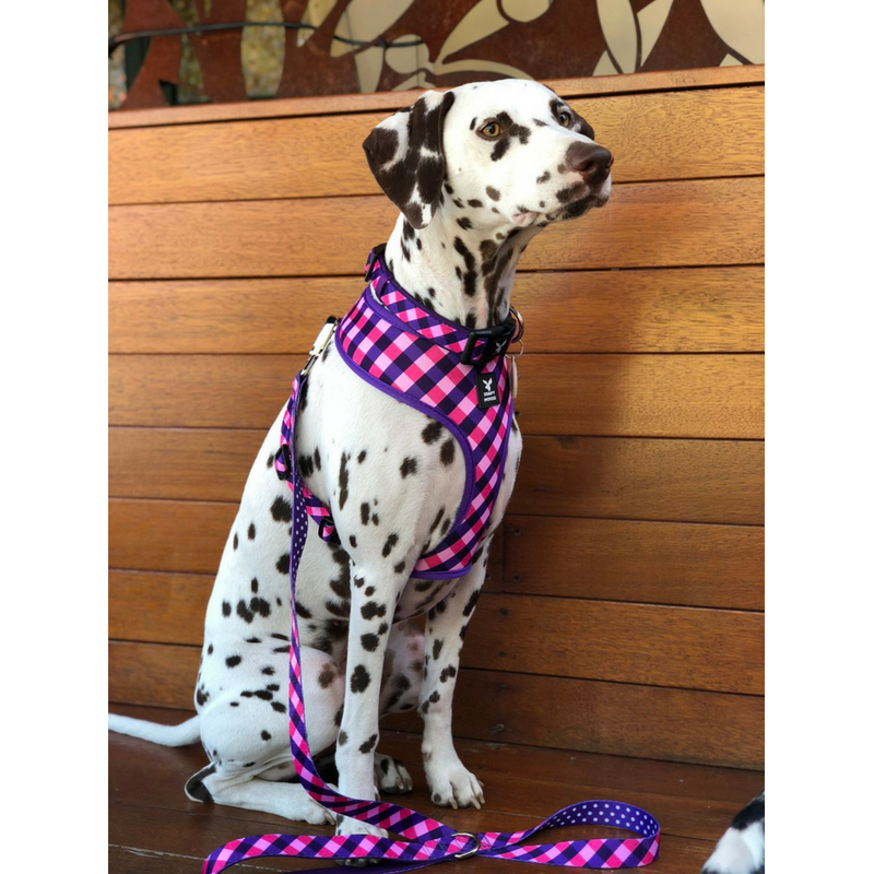 Soapy Moose Reversible Dog Harness | The Fashionista | Peticular