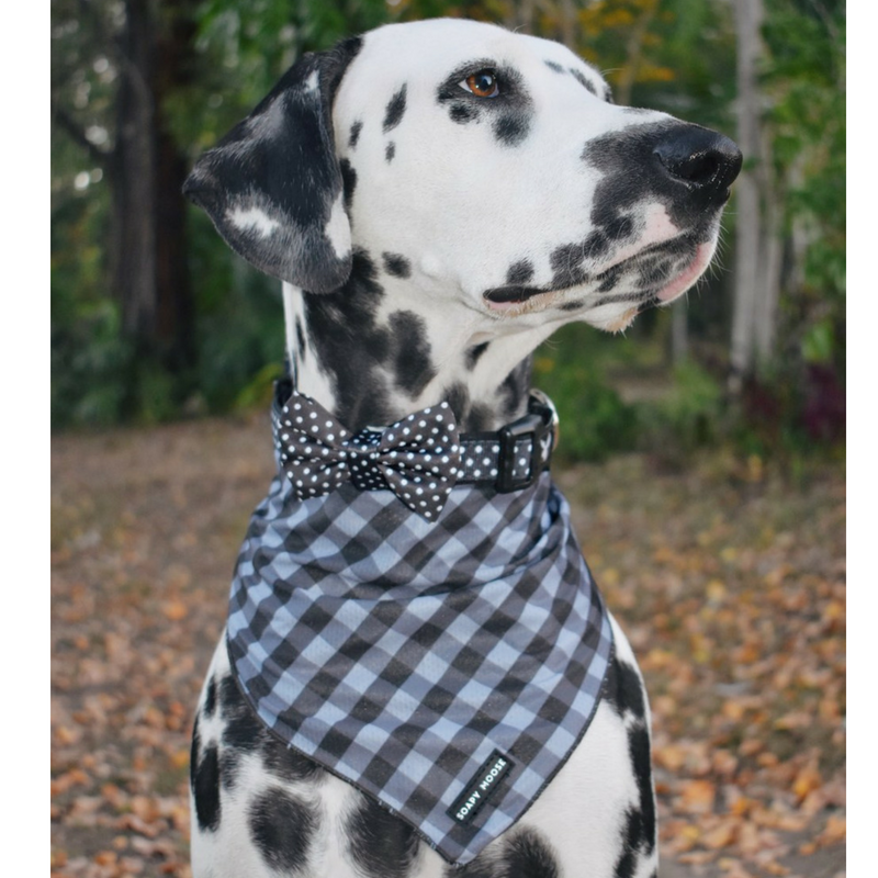 Soapy Moose Tie-Up Bandana | The Manhattan | Peticular