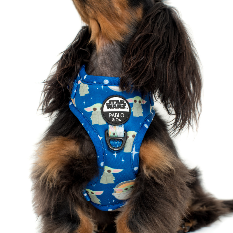 Star Wars Grogu | Adjustable Dog Harness