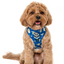 Star Wars Grogu | Adjustable Dog Harness