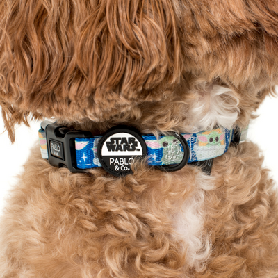 Star Wars Grogu | Dog Collar