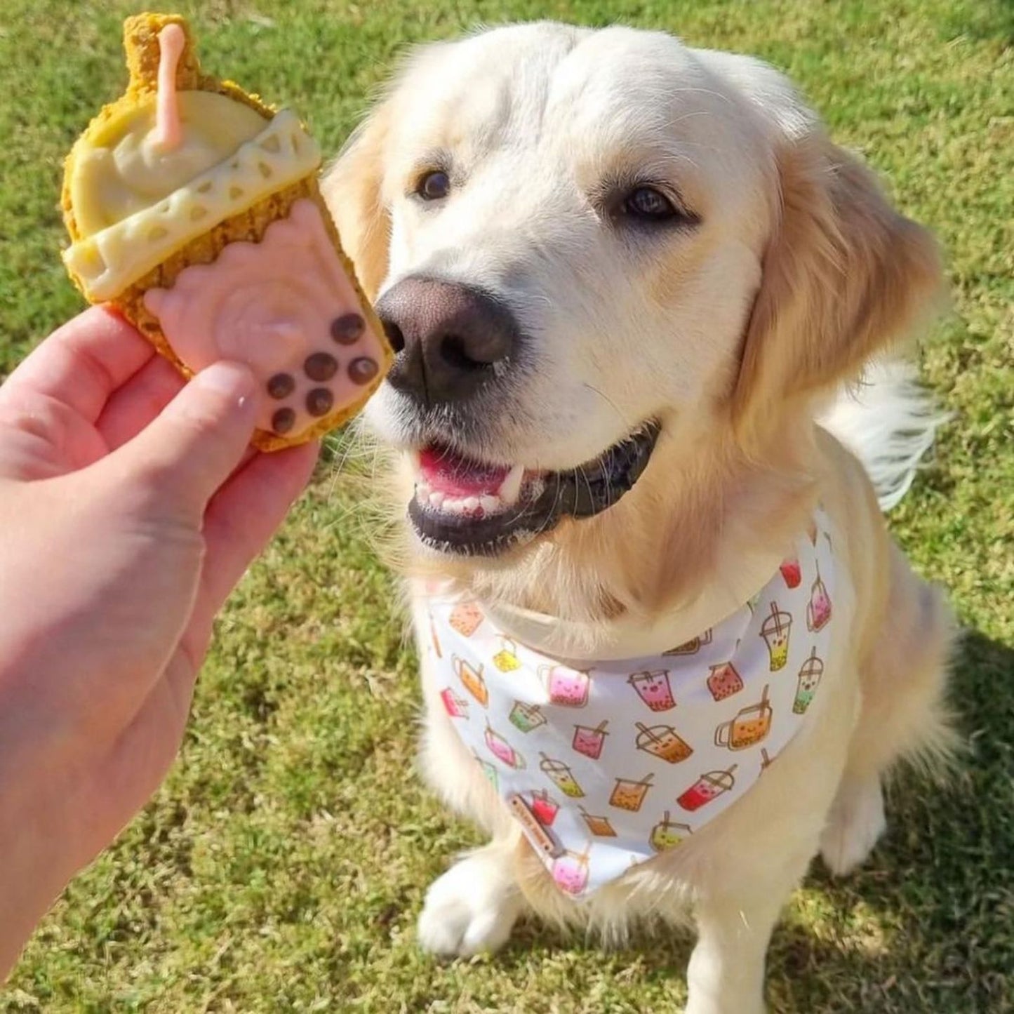 Bubble Tea Dog Cookie