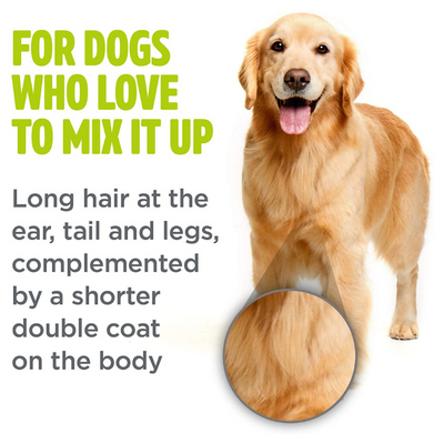 Combination Coat Dog Shampoo